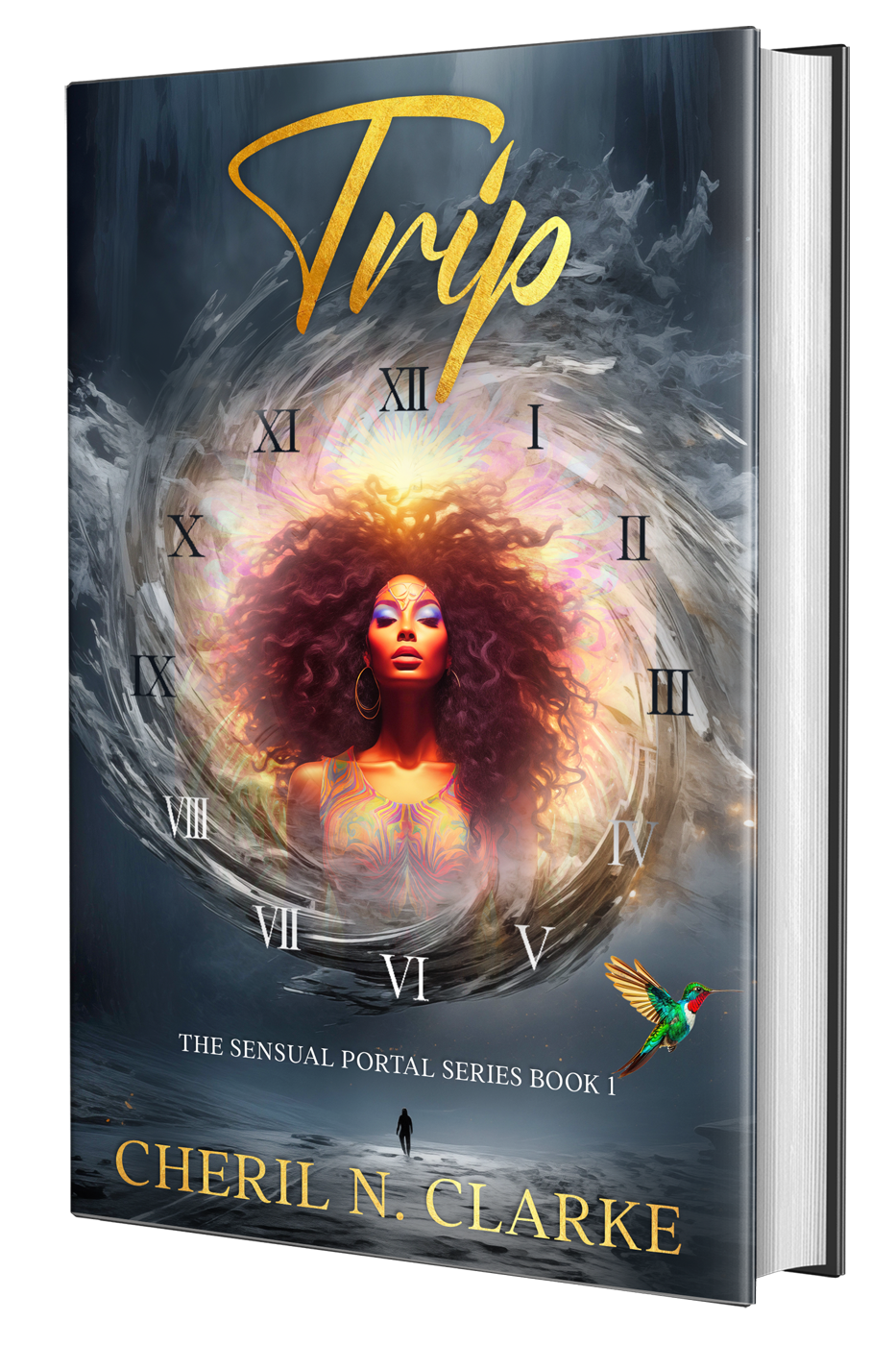 "Trip" *Print Book* (Book 1 in "The Sensual Portal" series)