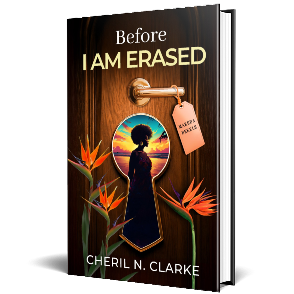 Before I Am Erased - print